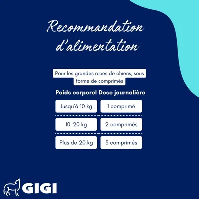 GIGI VET Confort Estomac & Intestin pour grands chiens