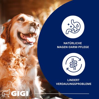 Magen & Darm Komfort Für Hunde & Katzen Beruhigt den Magen GIGI VET