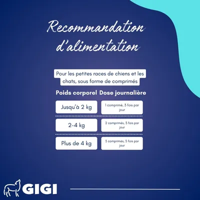 GIGI VET Confort Estomac & Intestin – aide contre intolérances