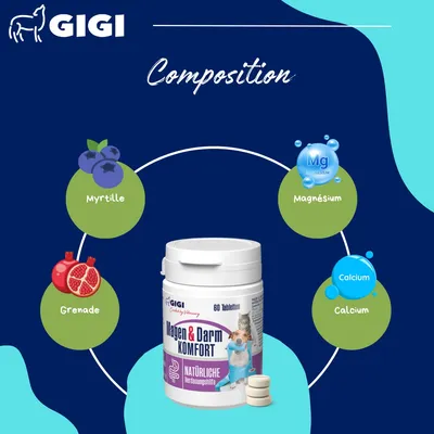 GIGI VET Confort Estomac & Intestin – aide contre intolérances