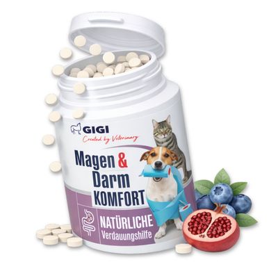 GIGI VET Confort Estomac & Intestin – aide contre intolérances