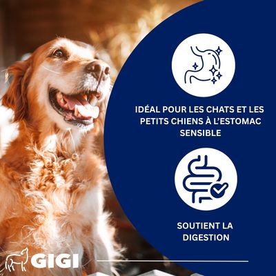 Confort Estomac & Intestin – aide contre intolérances GIGI VET