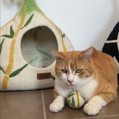 Balle pour chat en laine feutrée naturelle Bambou-Ball
