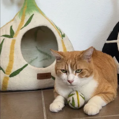 Balle pour chat en laine feutrée naturelle Bambou-Ball