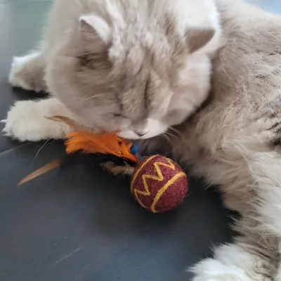 Balle à plumes pour chat en laine naturelle Tepee-Plume