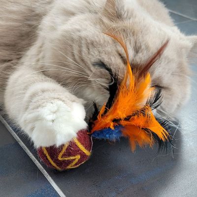Balle à plumes pour chat en laine naturelle Tepee-Plume
