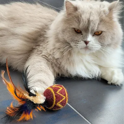 Balle à plumes pour chat en laine naturelle Tepee-Plume