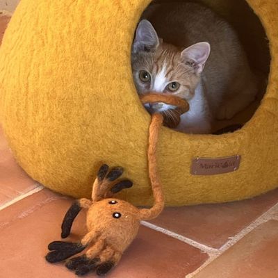 Jouet crabe pour chat en laine feutrée Pinot