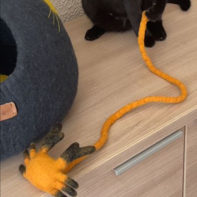 Jouet crabe pour chat en laine feutrée Pinot