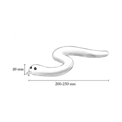 Jouet serpent pour chat en laine naturelle Serpa