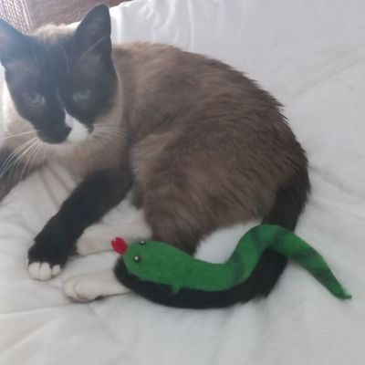Souris jouet pour chat en laine feutrée naturelle Ophi