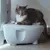 AstroPet - Litière pour chat - Jupiter Pro Series AstroPet - Litière pour chat - Jupiter Pro Series