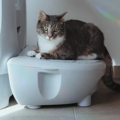 AstroPet - Litière pour chat - Jupiter Pro Series AstroPet - Litière pour chat - Jupiter Pro Series