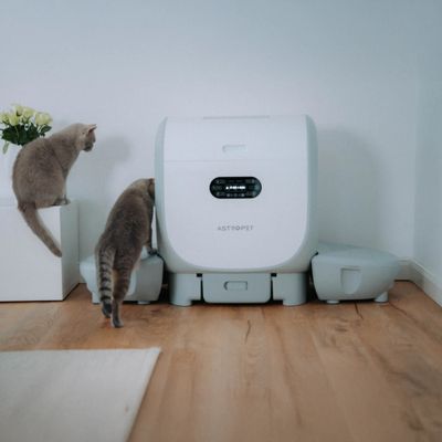 Jupiter Pro - XXL Selbstreinigende Katzentoilette