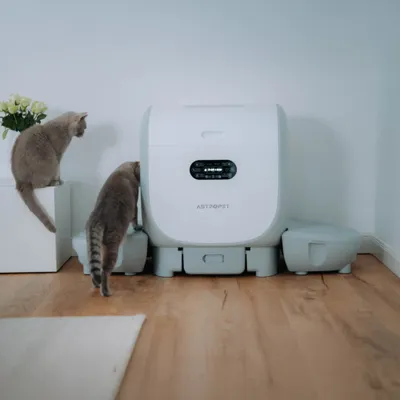 AstroPet - Litière pour chat - Jupiter Pro Series AstroPet - Litière pour chat - Jupiter Pro Series