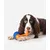 CHEERBLE - Balle Interactive - Wicked Ball Rolly
