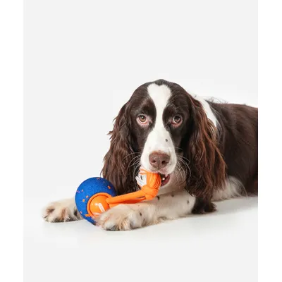 CHEERBLE - Balle Interactive - Wicked Ball Rolly
