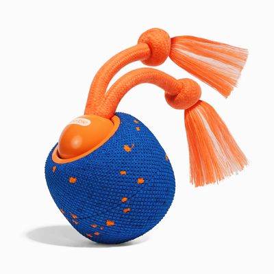 CHEERBLE - Balle Interactive - Wicked Ball Rolly