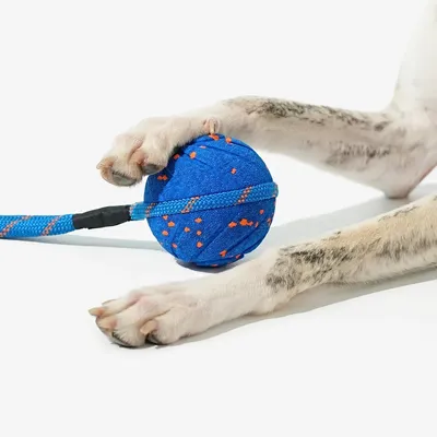 CHEERBLE - Balle pour Chien - Wicked Ball Air
