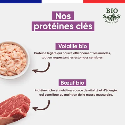Canichef - Mousse Bio Sans Céréales au Poulet pour Chien (12 x 400gr)
