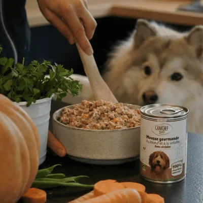 Canichef - Mousse Bio Sans Céréales au Poulet pour Chien (12 x 400gr)