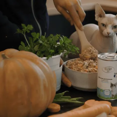 Felichef - Mousse Bio Sans Céréales au Saumon pour Chat (6 x 400gr)