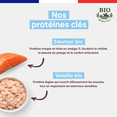 Felichef - Mousse Bio Sans Céréales au Saumon pour Chat (6 x 400gr)
