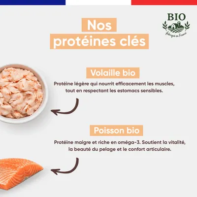 Felichef - Mousse Bio Sans Céréales à la Volaille pour Chat (6x 400 gr)