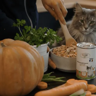 Felichef - Mousse Bio Sans Céréales à la Volaille pour Chat (6x 400 gr)