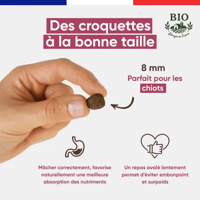 Canichef - Croquettes BIO Volaille Chiot