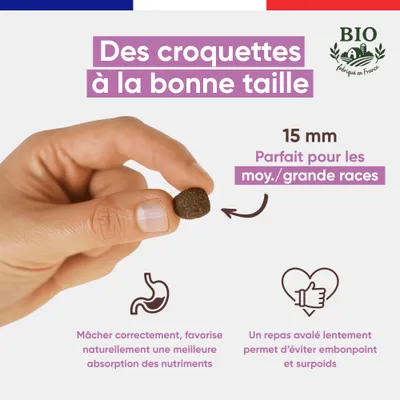 Canichef - Croquettes BIO Volaille Grande Race