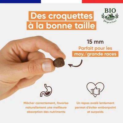 CANICHEF - Croquettes Bio Sans Céréales Volaille Chien