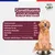 Canichef - Terrines Bio Sans Céréales Volaille Légumes Chien
