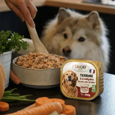 Canichef - Terrines Bio Sans Céréales Volaille Légumes Chien