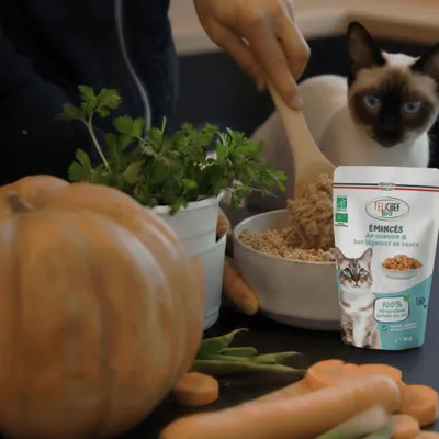Felichef - Emincés Bio Saumon Légumes Chat