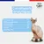 Felichef - Mousse Bio Sans Céréales Saumon Chat Felichef - Mousse Bio Sans Céréales Saumon Chat