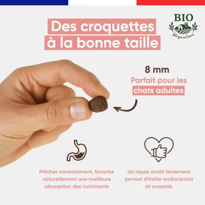 Felichef - Croquettes BIO Volaille Chat adulte Felichef - Croquettes BIO Volaille Chat adulte