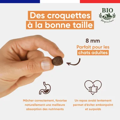 Felichef - Croquettes Bio Sans Céréales Volaille Stérilisé 2kg