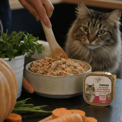 Felichef - Terrines Bio Saumon Légumes Chat Stérilisé
