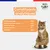 Felichef - Terrines Bio Truite Dinde Chat