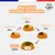 Felichef - Terrines Bio Truite Dinde Chat