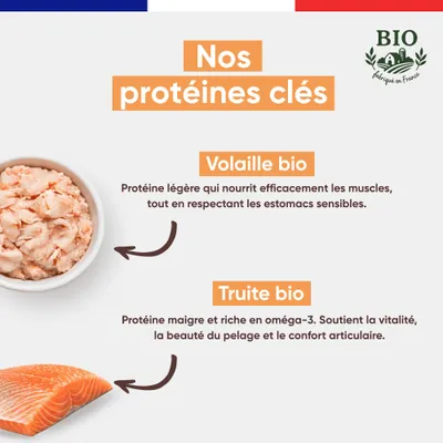 Felichef - Terrines Bio Truite Dinde Chat