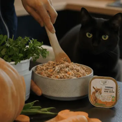 Felichef - Terrines Bio Truite Dinde Chat