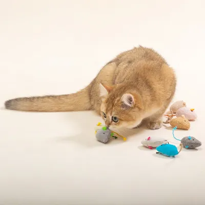 猫咪老鼠玩具（9 件装）：耐用，天然猫薄荷 – 适合猫咪和幼猫