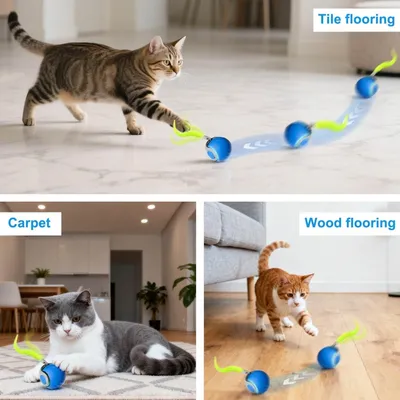 MCBOSON Balle Interactive Chat Luciole : 3 Modes, Rechargeable & Amovible