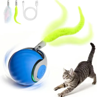 MCBOSON Balle Interactive Chat Luciole : 3 Modes, Rechargeable & Amovible
