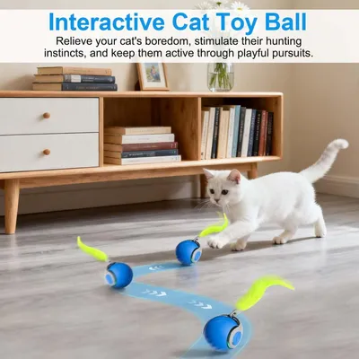 MCBOSON Balle Interactive Chat Luciole : 3 Modes, Rechargeable & Amovible