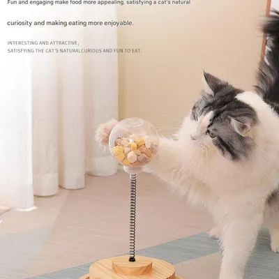 FurryFusion Jeu intelligent pour chat: boule à nourriture bascule en bois