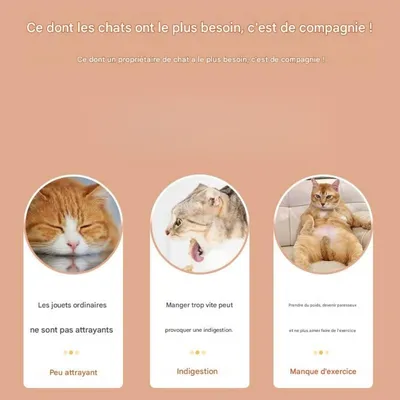 FurryFusion Jeu intelligent pour chat: boule à nourriture bascule en bois