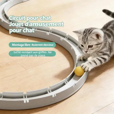 MCBOSON Rouleau de jouet pour chat, jouet puzzle pour chat